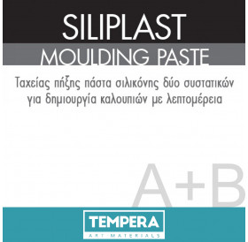 Siliplast 500g (250+250g)
