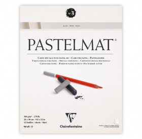 Μπλοκ PastelMat 24x30cm 360g Νο3 12φ Clairefontaine Rhodia