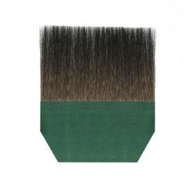 Gilder`s Tip Blue Squirrel Da Vinci