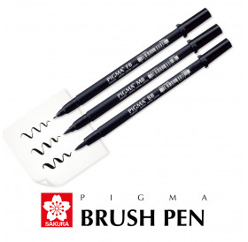 Pigma Brush Pen Sakura