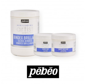 Bindex Artist Gloss - Mat Pebeo