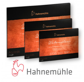 Μπλοκ Collection Rough 300gr 10φ Hahnemuhle Μπλοκ Collection Rough 300gr 10φ Hahnemuhle