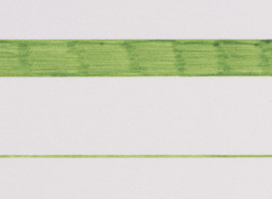 06 Yellow Green 27