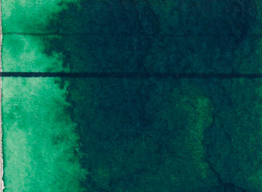 11ml Phthalo Green (Blue Shade) 7000375 +++++ T