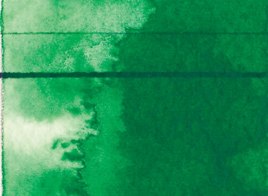 11ml Permanent Green Light 7000385 ++++ ST