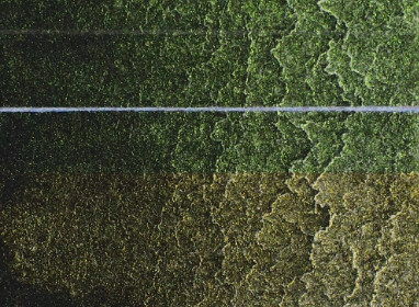 11ml Interference Green-Orange Shift 7000625 ST G