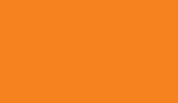Pumpkin 407 14g