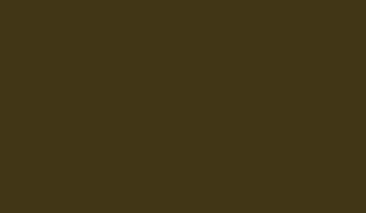 Olive 426 14g