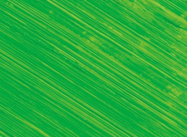 37ml Permanent Green Light ++++ SO
