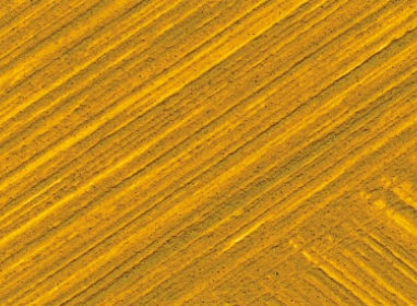 37ml Italian Yellow Ochre +++++ SO