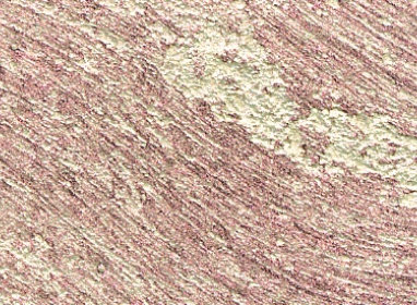 37ml Interference Red T