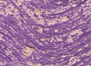 37ml Interference Violet T