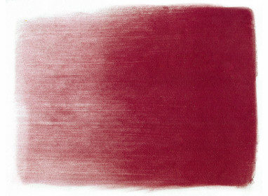 410.3 Primary Magenta Shade +++++