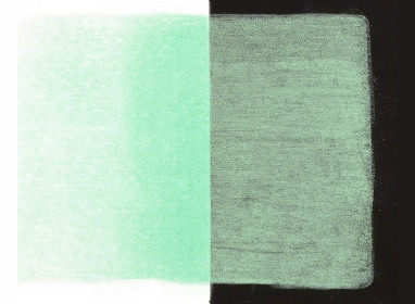 956.5 Pearlescent Green ++++