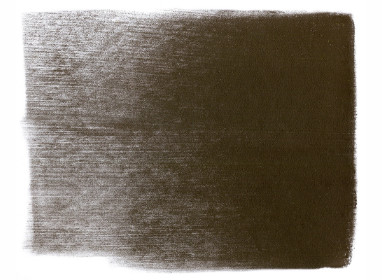 740.1 Burnt Sienna Extra Dark +++++