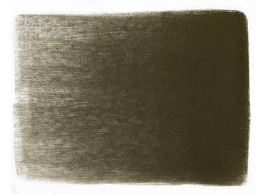 780.3 Raw Umber Shade +++++