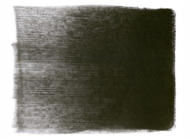 780.1 Raw Umber Extra Dark +++++
