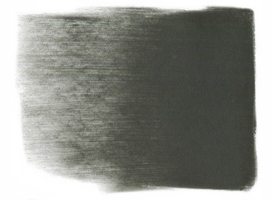 820.2 Neutral Gray Extra Dark 2 +++++