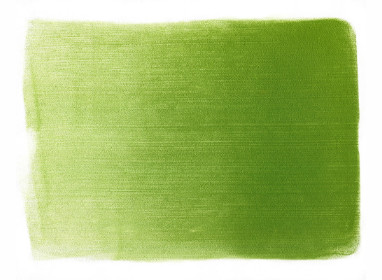690.3 Yellow Green Shade ++++