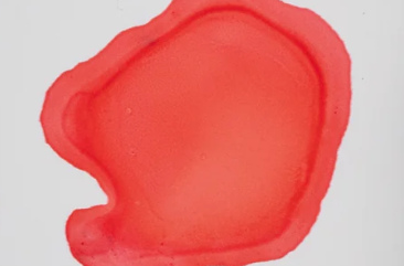 14,79ml Coral 008