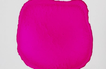 14,79ml Senorita Magenta 011