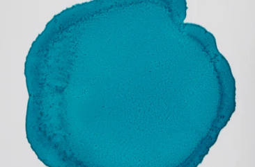 14,79ml Teal 020