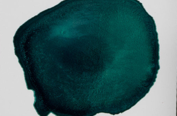 14,79ml Rainforest Green 023