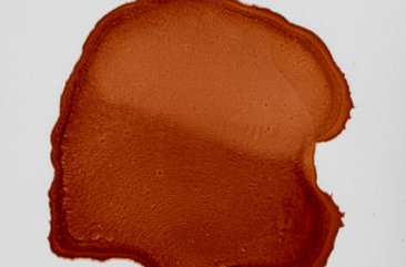 14,79ml Burro Brown 025