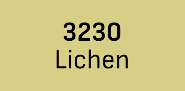 Lichen 3230