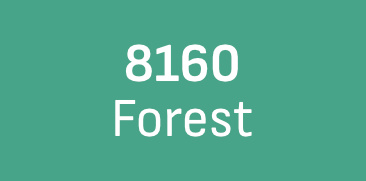 Forest 8160