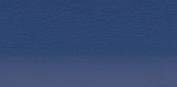 Indigo C300