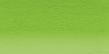 Green C420