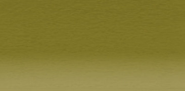 Lichen Green C500