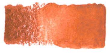 Burnt Orange 0260