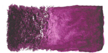 Thistle 0720