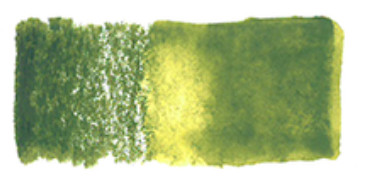 Fern 1560