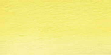 Primrose Yellow 04