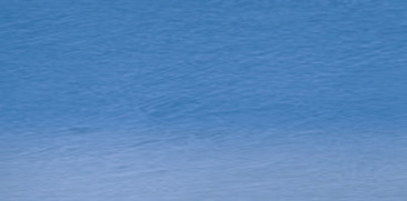 Cobalt Blue 31