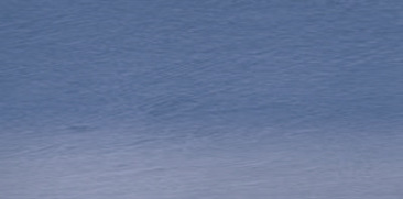 Prussian Blue 35