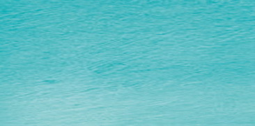 Turquoise Green 40