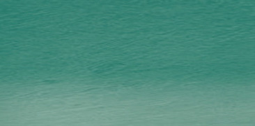 Bottle Green 43