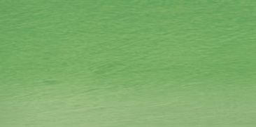 Emerald Green 46