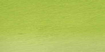 Grass Green 47
