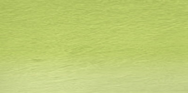 May Green 48
