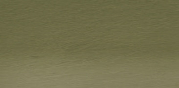 Sap Green 49