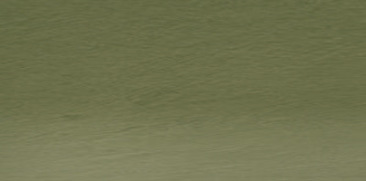 Olive Green 51