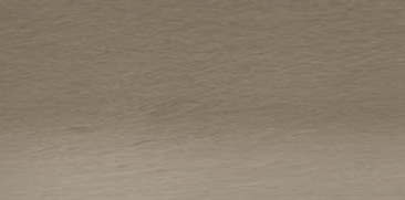 Sepia 53