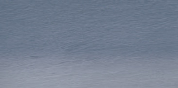 Blue Grey 68