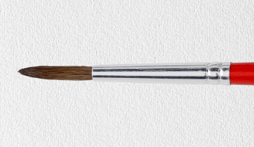 No 6