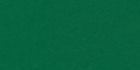 75ml Permanent Green Lake GRCN41241 +++ ST